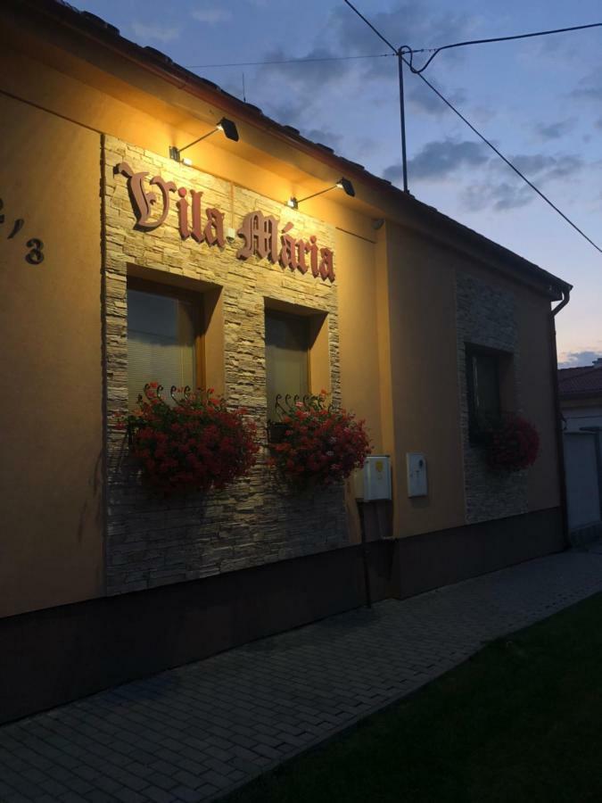 Vila Maria Rapovce Eksteriør billede